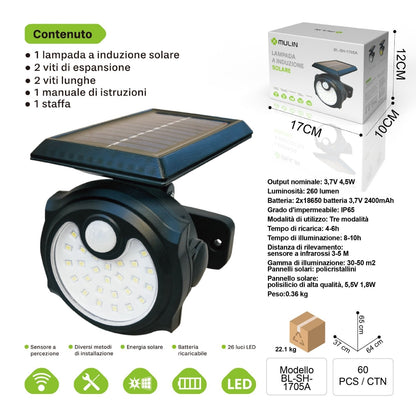 BL-SH-1705 Solar Induction and Sensored Wall Lamp